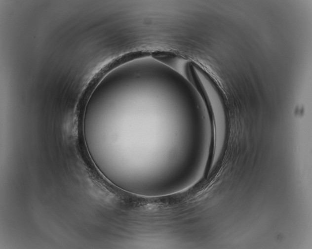 X0000090900584200707301414