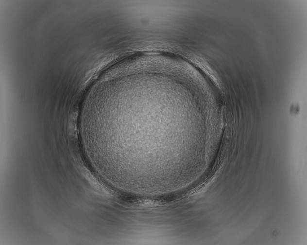 X0000090900585200707301414