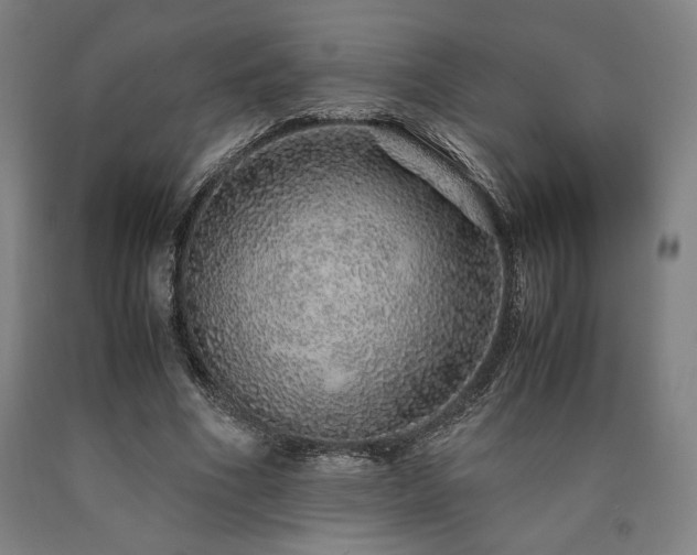 X0000090900586200707301414