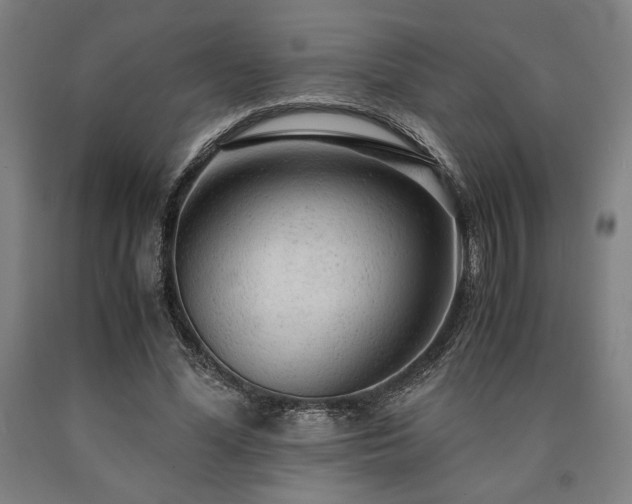 X0000090900588200707301414