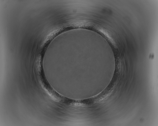 X0000090900590200707301414