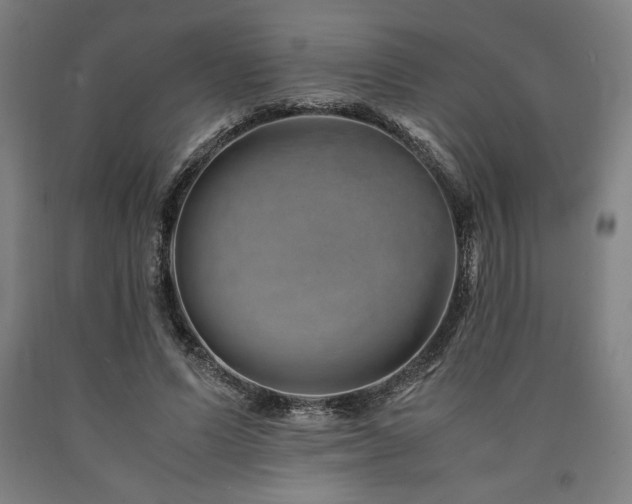 X0000090900591200707301414