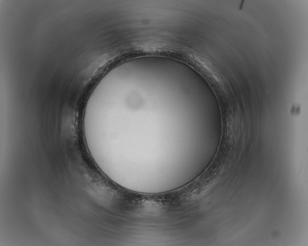 X0000090900592200707301414