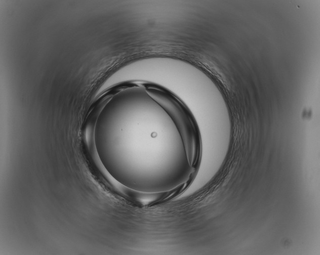 X0000090900593200707301414