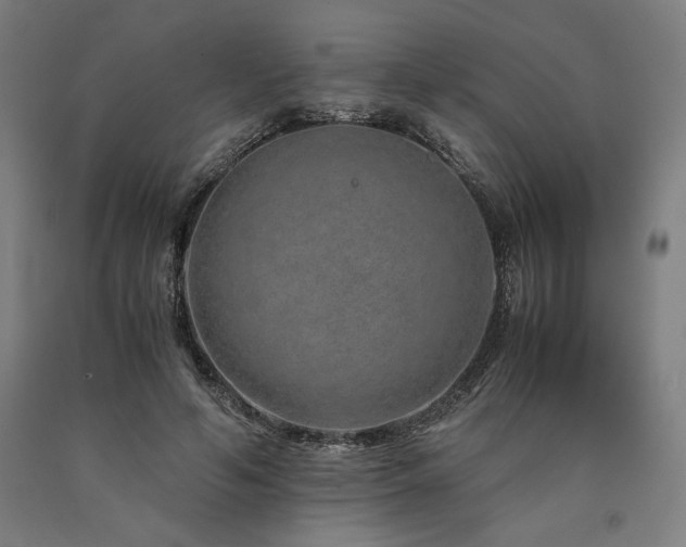 X0000090900594200707301414