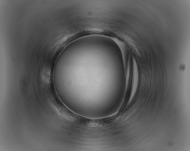 X0000090900596200707301414