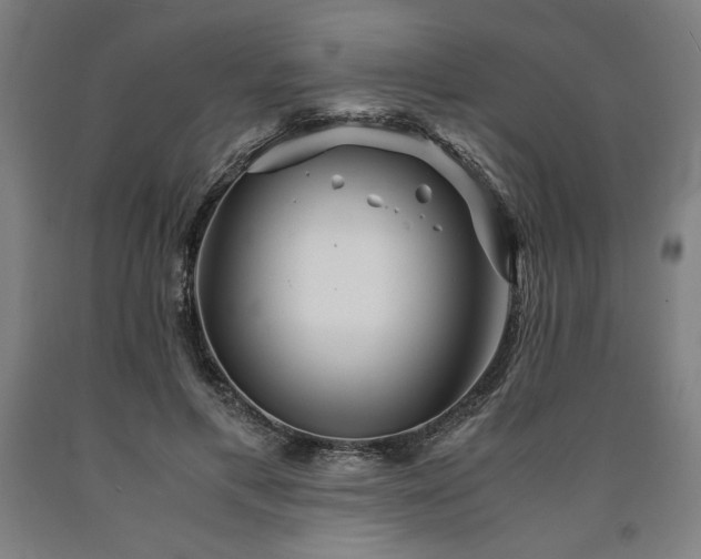 X0000090900597200707301414