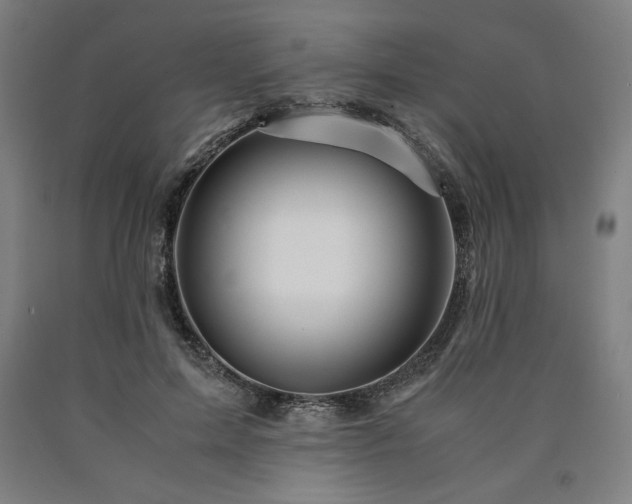 X0000090900599200707301414