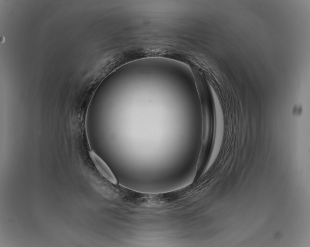 X0000090900601200707301414
