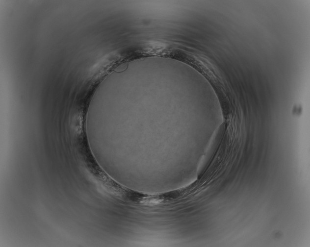 X0000090900602200707301414