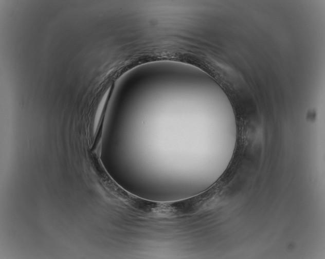X0000090900603200707301414