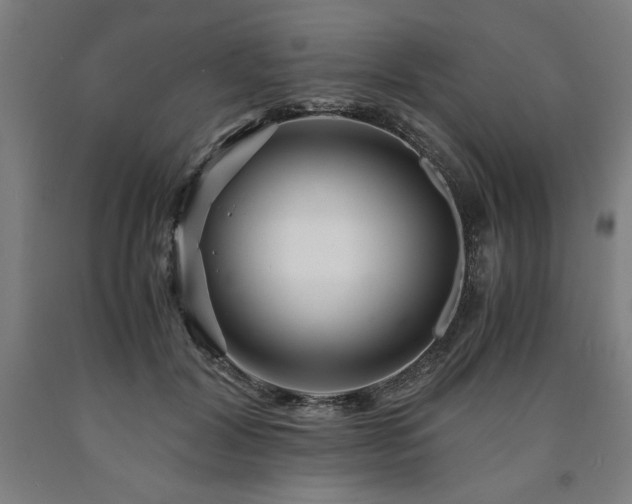 X0000090900604200707301414