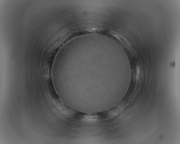 X0000090900606200707301414