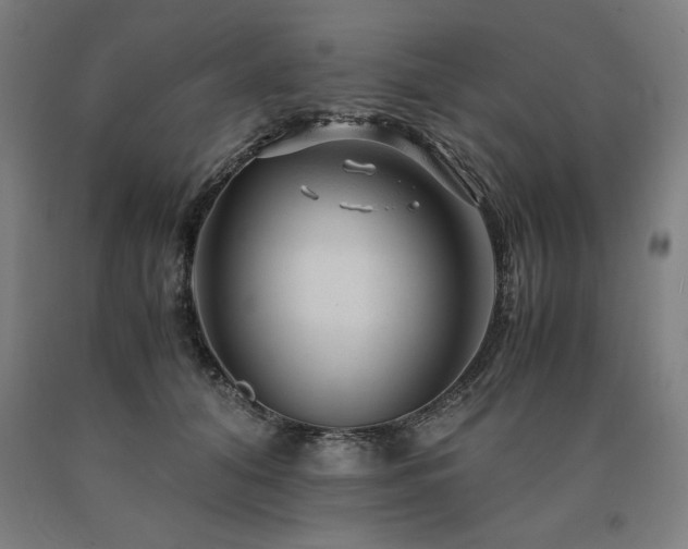 X0000090900608200707301414