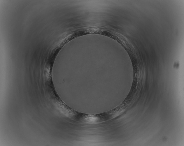 X0000090900610200707301414