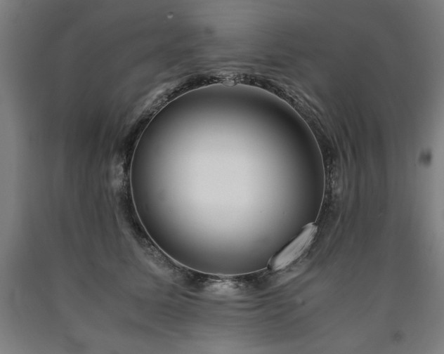 X0000090900611200707301414