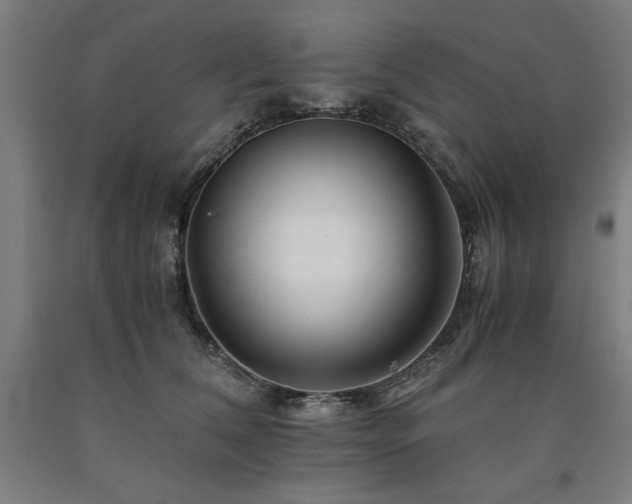 X0000090900612200707301414