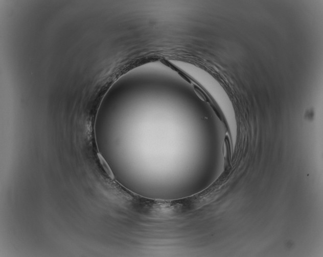 X0000090900613200707301414