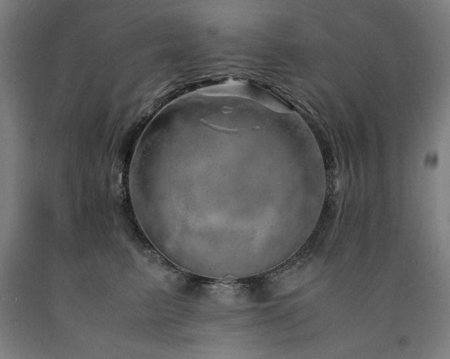 X0000090900615200707301414