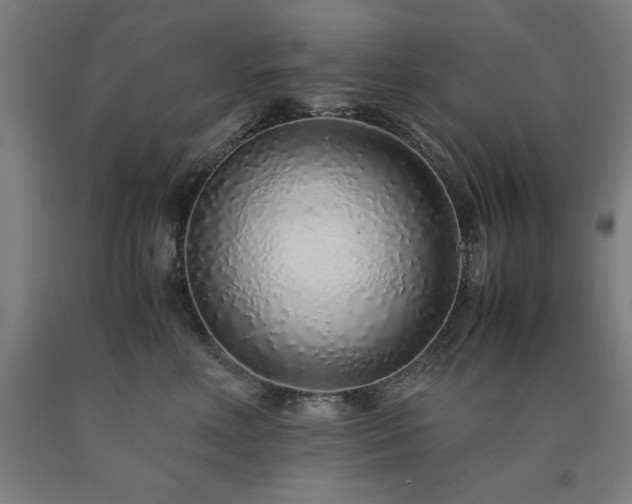 X0000090900618200707301414