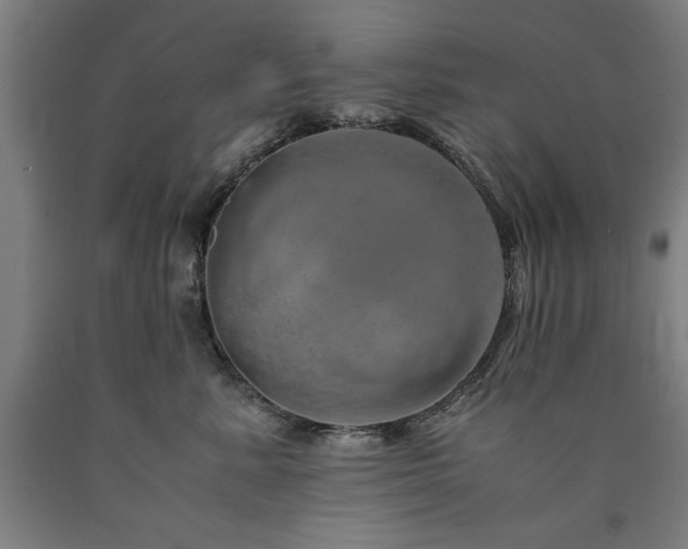 X0000090900619200707301414