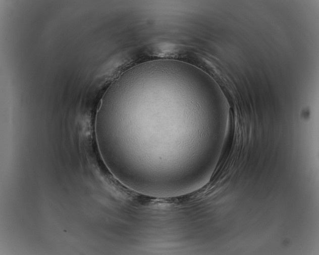 X0000090900620200707301414
