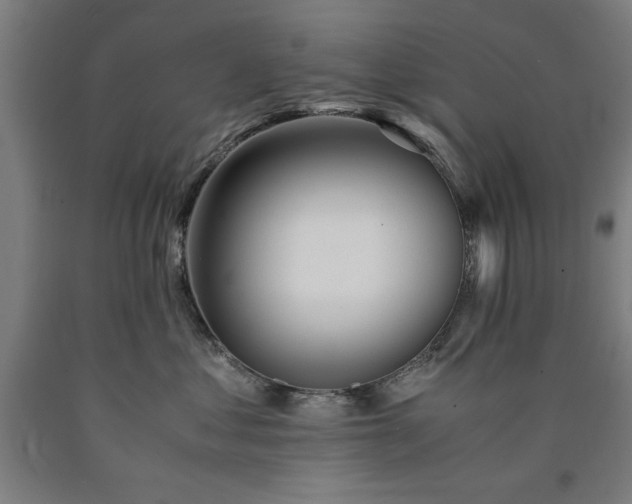 X0000090900621200707301414