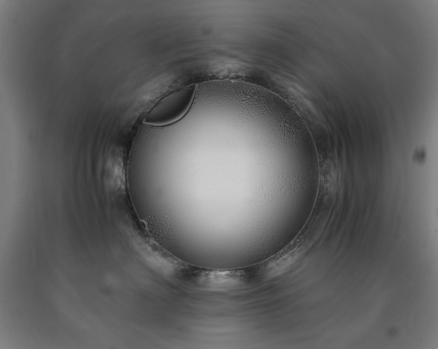 X0000090900622200707301414