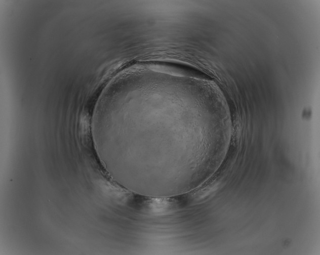 X0000090900623200707301414