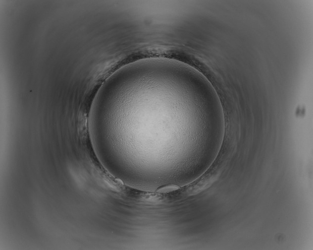 X0000090900624200707301414