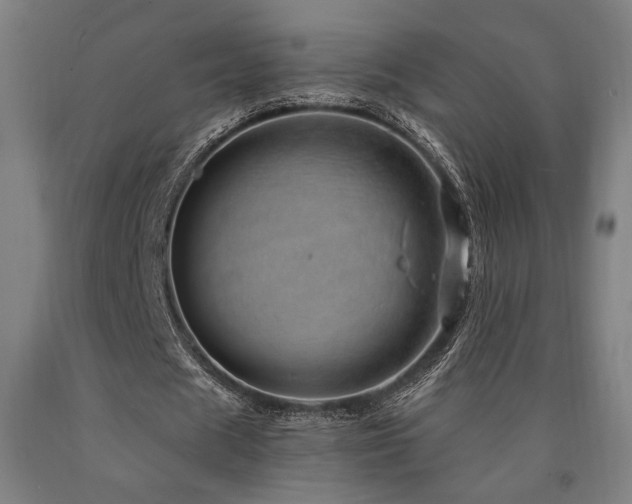 X0000090900625200707301413