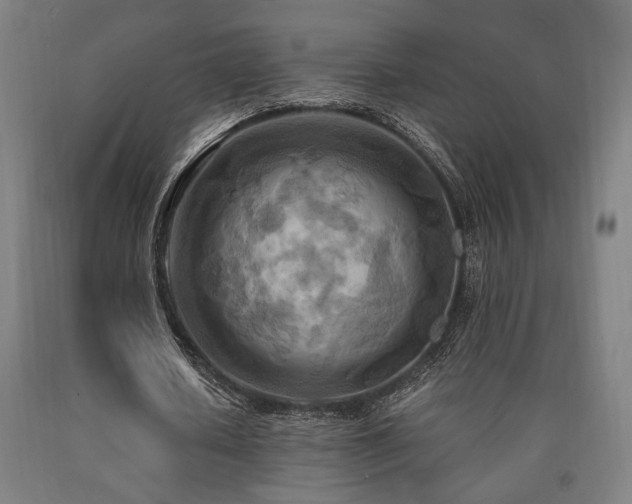 X0000090900626200707301413