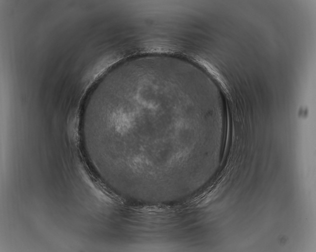 X0000090900627200707301413