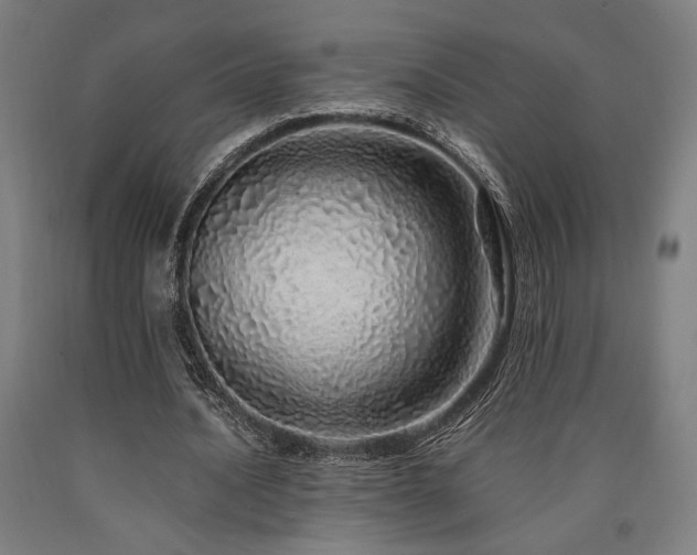 X0000090900628200707301413