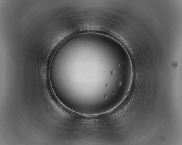 X0000090900629200707301413