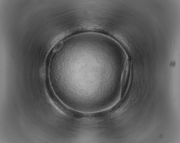 X0000090900630200707301413