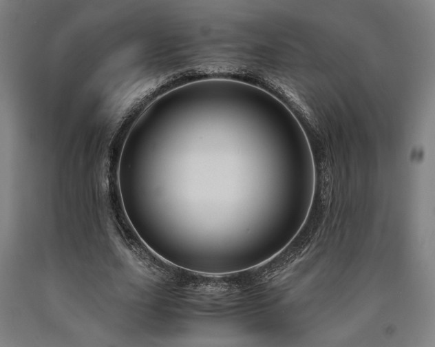X0000090900631200707301413