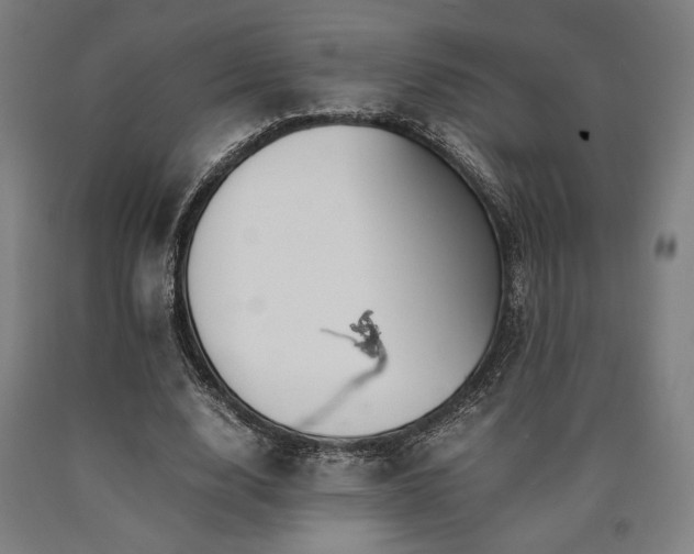 X0000090900632200707301413