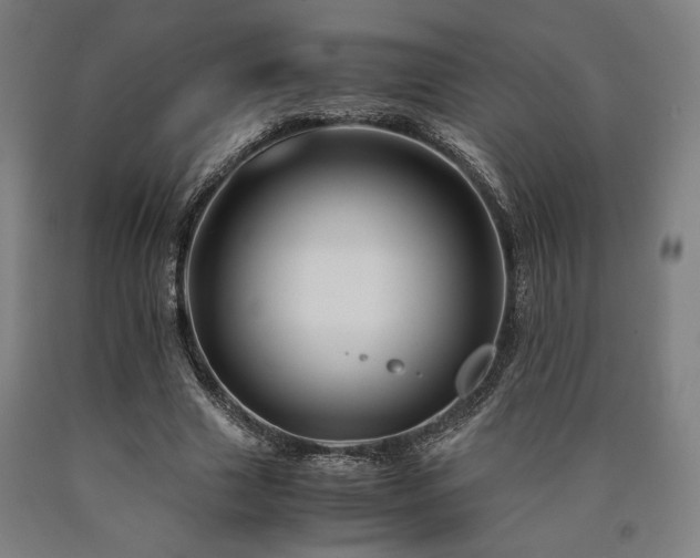 X0000090900633200707301413