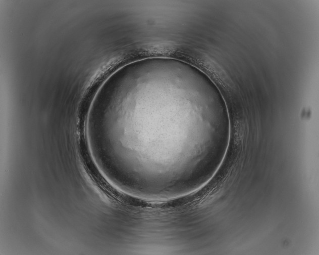 X0000090900634200707301413