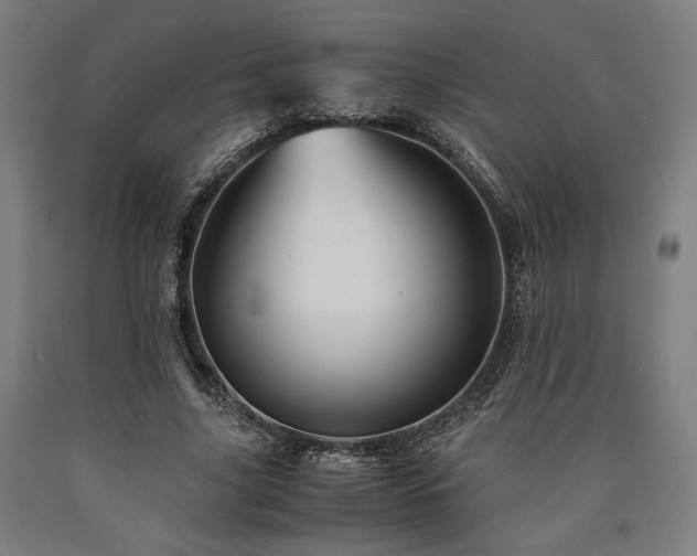 X0000090900635200707301413