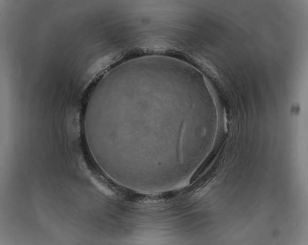 X0000090900638200707301413