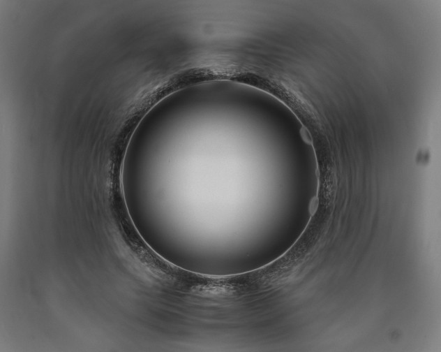 X0000090900639200707301413
