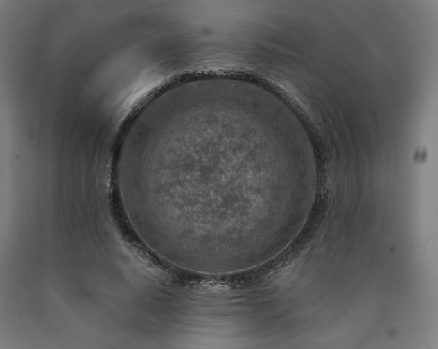 X0000090900640200707301413