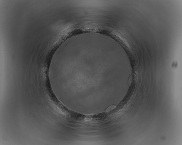 X0000090900641200707301413