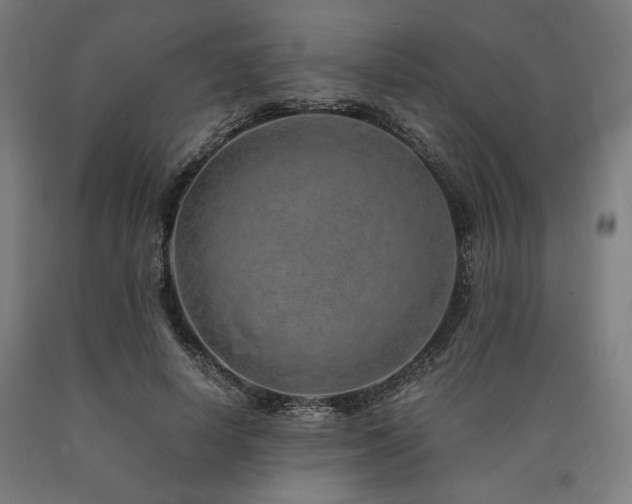 X0000090900642200707301413