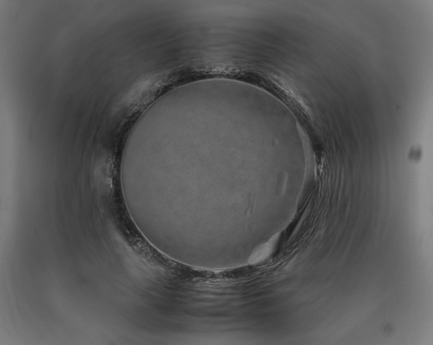 X0000090900643200707301413