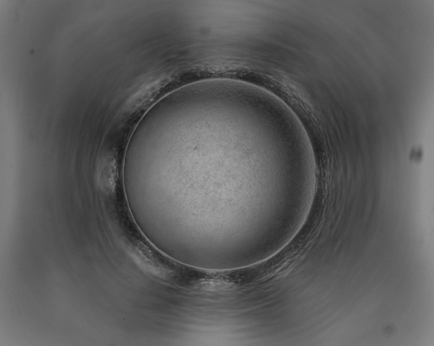 X0000090900644200707301414