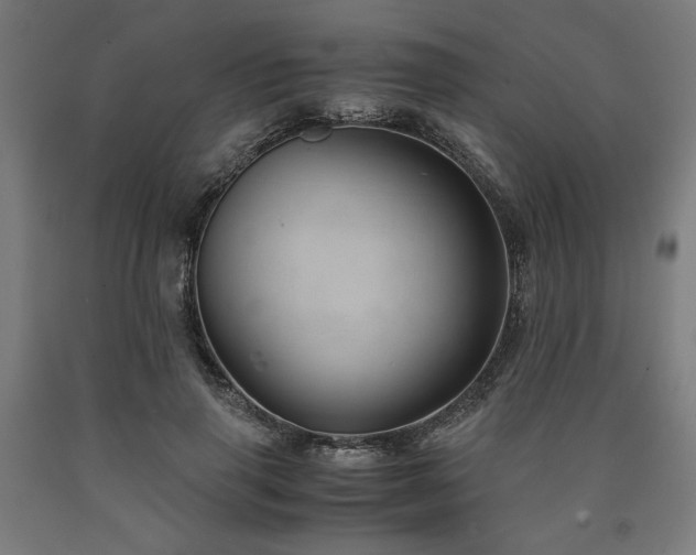 X0000090900645200707301414