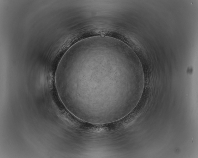 X0000090900646200707301414